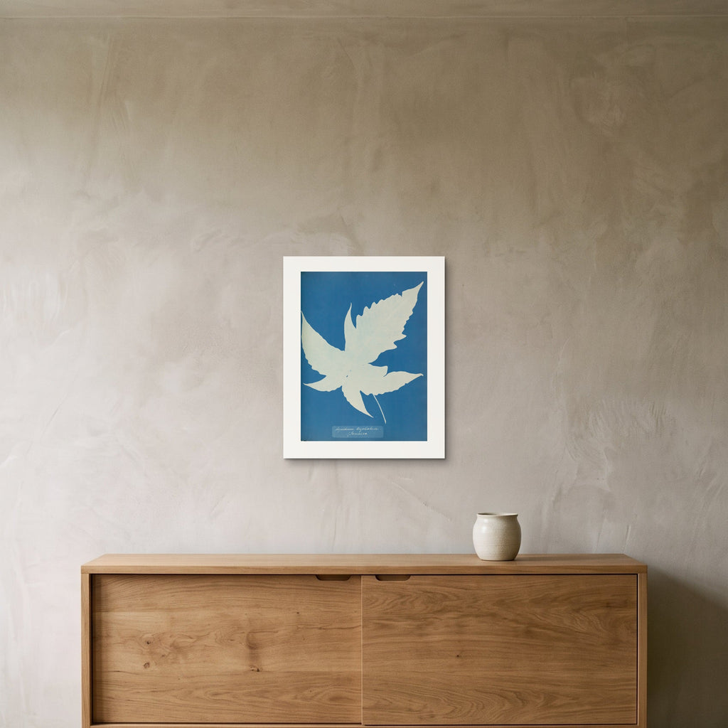 The Aspidium trifoliatum cyanotype as a 40 × 50 cm giclée print, unframed, hung 25 cm above a 140 cm sideboard