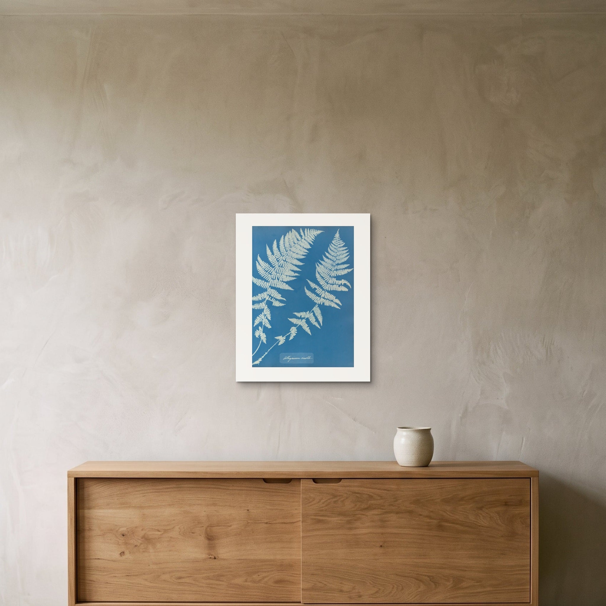 The Athyrium molle fern cyanotype as a 40 × 50 cm giclée print, unframed, hung 25 cm above a 140 cm sideboard