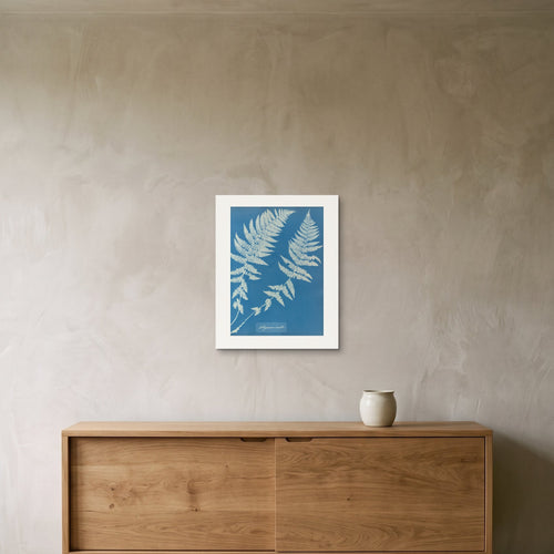 The Athyrium molle fern cyanotype as a 40 × 50 cm giclée print, unframed, hung 25 cm above a 140 cm sideboard