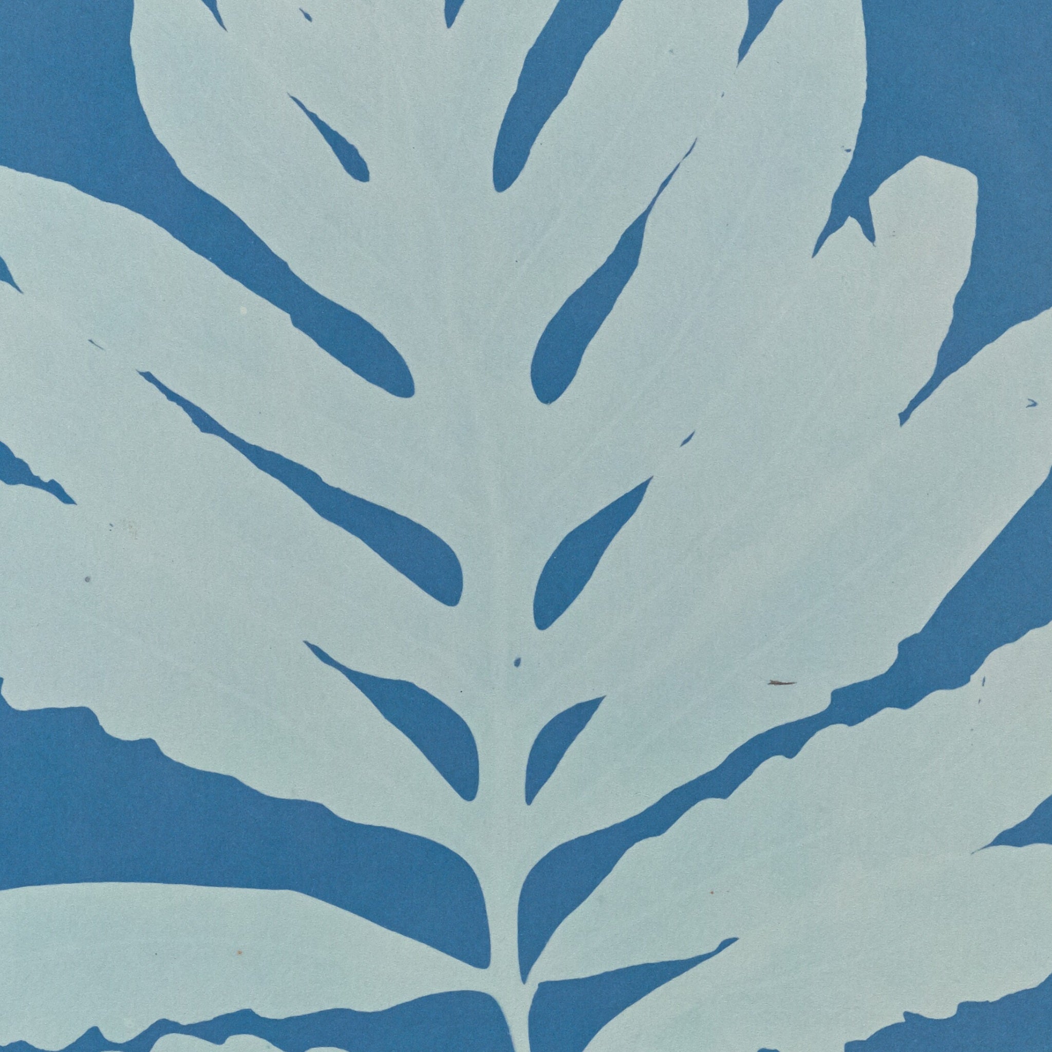 Detail at actual print size: the deep rounded lobes of the sensitive fern and the grain of the 1853 coated paper