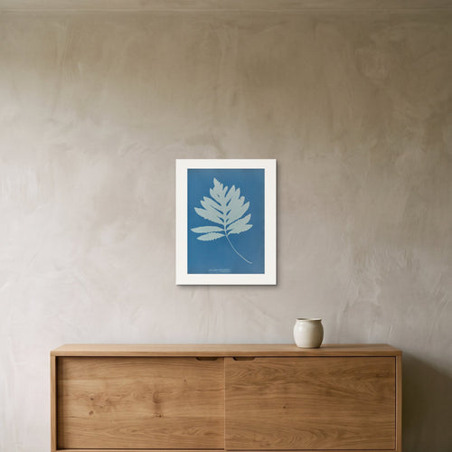 The Onoclea sensibilis cyanotype as a 40 × 50 cm giclée print, unframed, hung 25 cm above a 140 cm sideboard