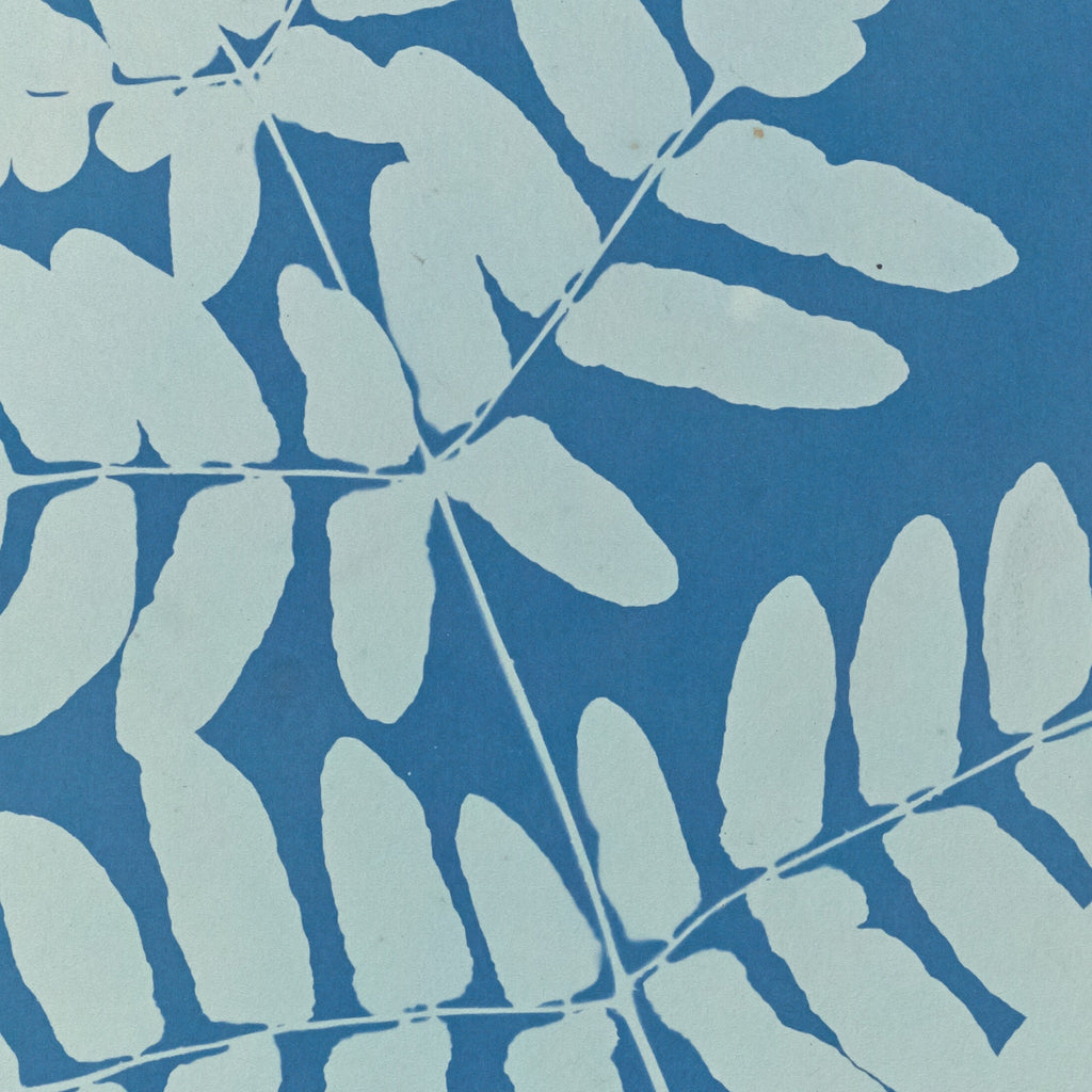 Detail at actual print size: the separated leaflets of the royal fern and the grain of the 1853 coated paper