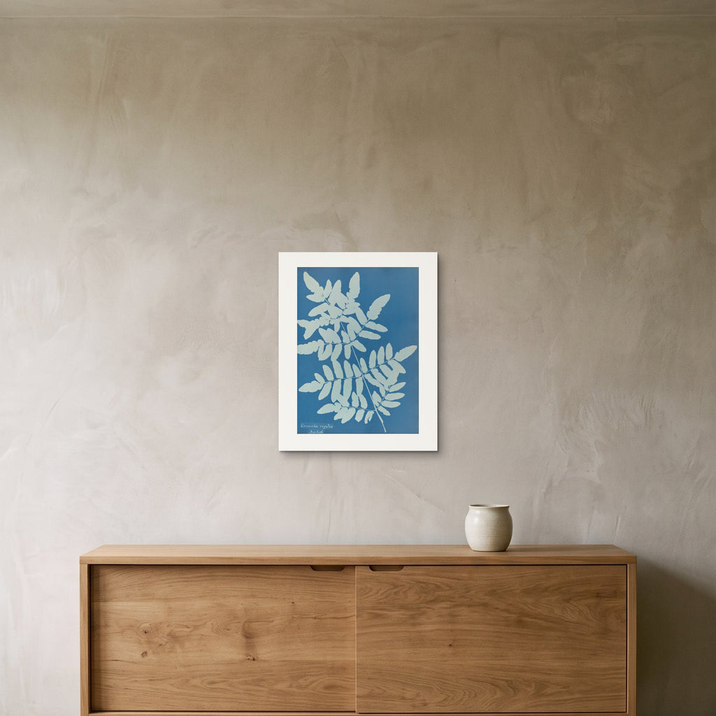 The Osmunda regalis cyanotype as a 40 × 50 cm giclée print, unframed, hung 25 cm above a 140 cm sideboard