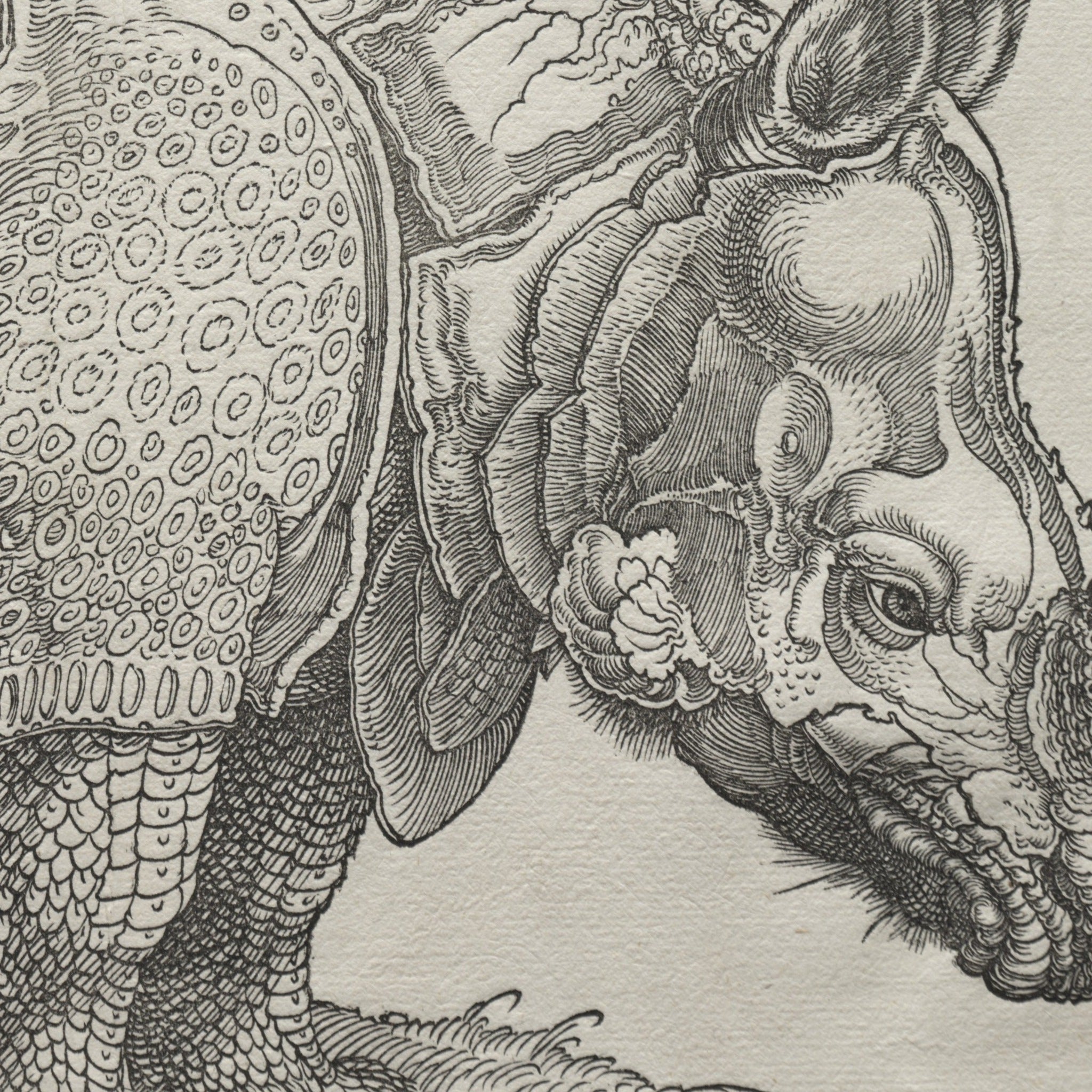 Detail at actual print size: the head, the horn and the plated skin, cut line by line into the woodblock in 1515