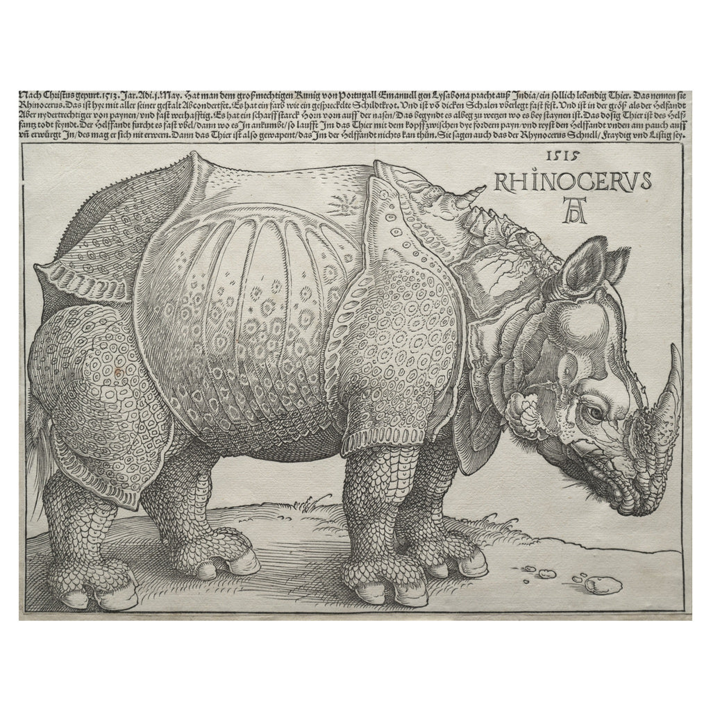 Albrecht Dürer, The Rhinoceros, 1515 — the woodcut sheet reproduced whole, the armoured animal in profile under the eight lines of German letterpress