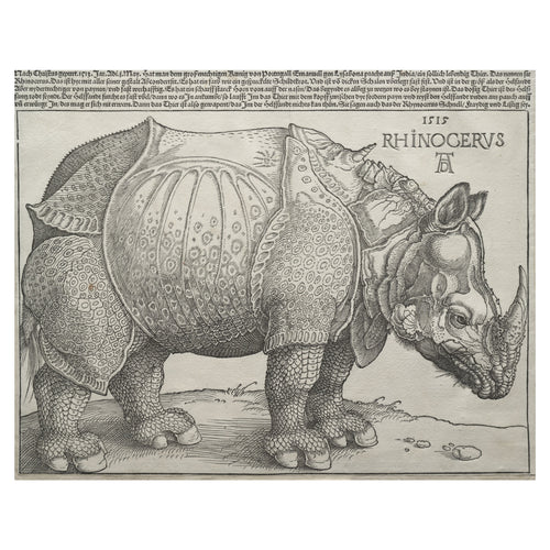 Albrecht Dürer, The Rhinoceros, 1515 — the woodcut sheet reproduced whole, the armoured animal in profile under the eight lines of German letterpress