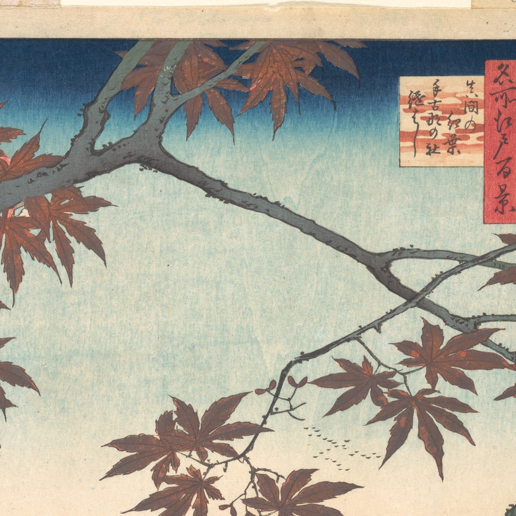 Detail at actual print size: the maple branch, the hand-wiped gradation of the sky and the paper grain of the 1857 impression