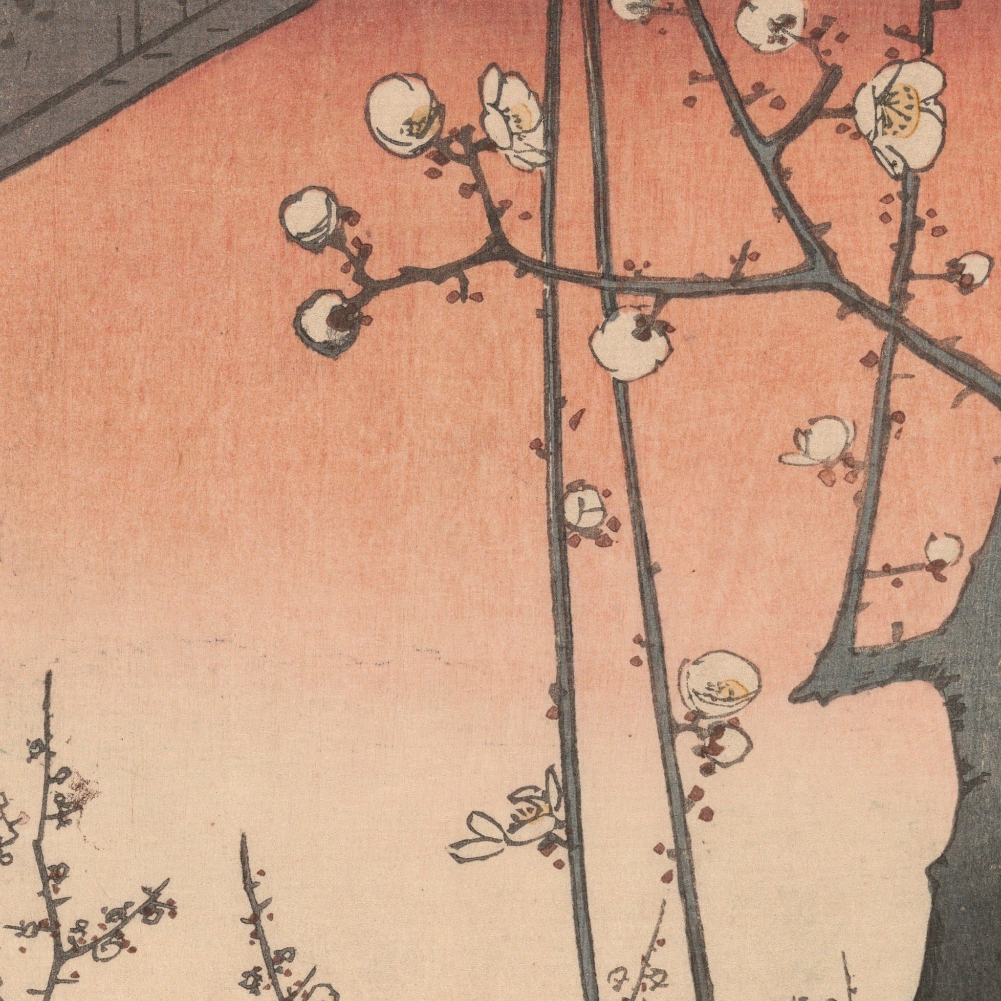 Detail at actual print size: the plum blossoms against the printed sky gradation and the paper grain of the 1857 impression