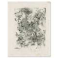 William Henry Fox Talbot, Dandelion Seeds - the photoglyphic engraving with its plate mark, shown flat on white