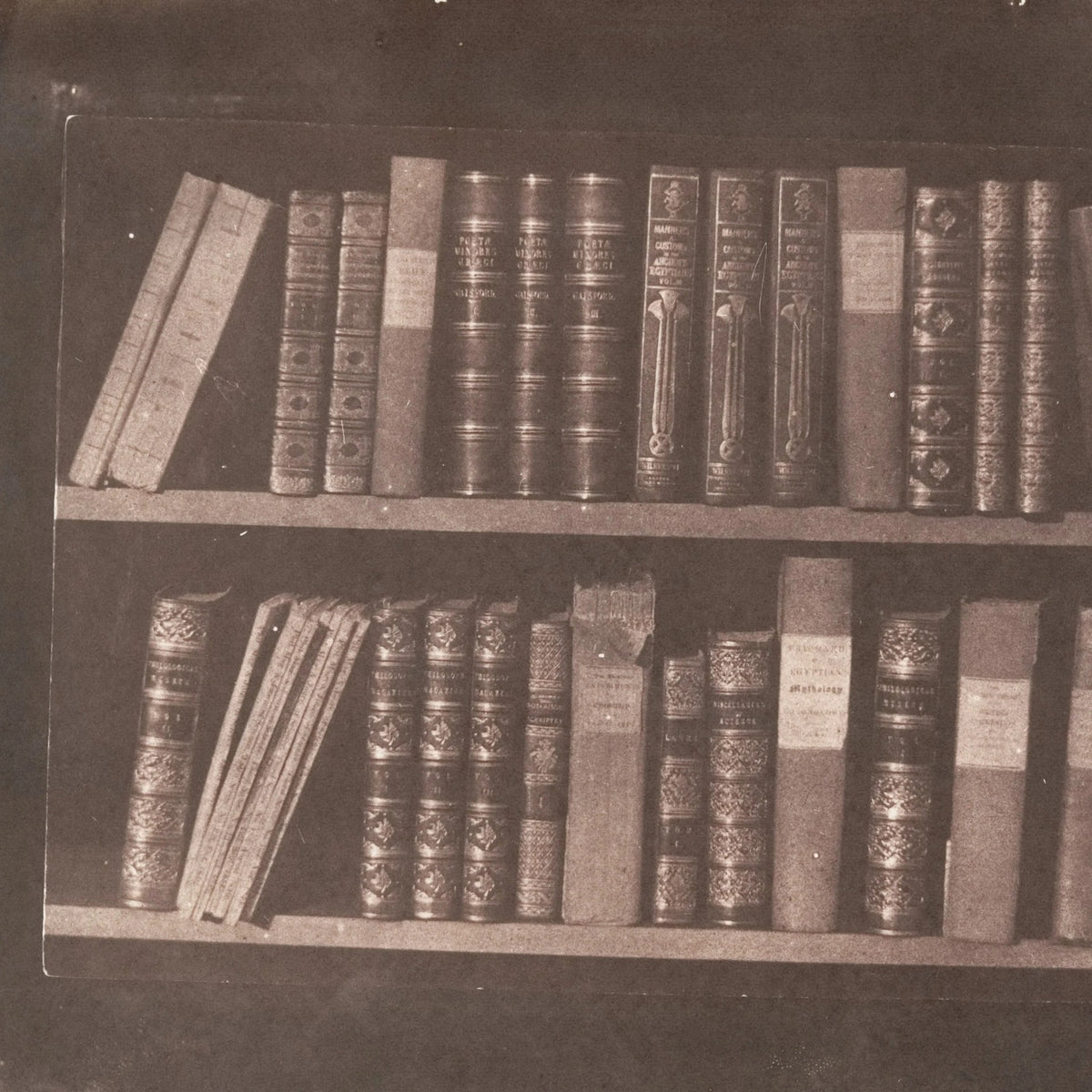Detail at printed size — the lettered spines on Talbot's shelf